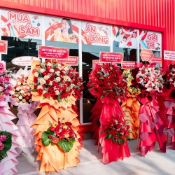 GO! GÒ CÔNG ĐỒNG THÁP