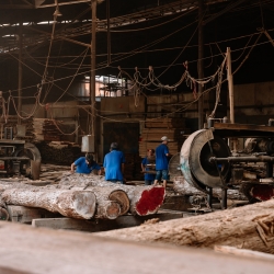 COMPANY GỖ NHẬT THÀNH BÌNH DƯƠNG